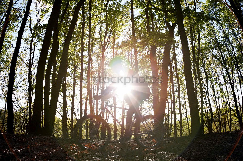 Image, Stock Photo lake Pond Water Footbridge