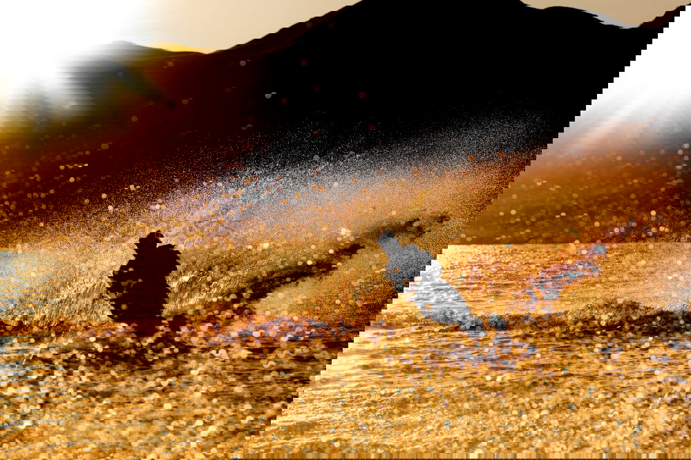 Similar – Foto Bild Platsch-Quatsch V Kunst