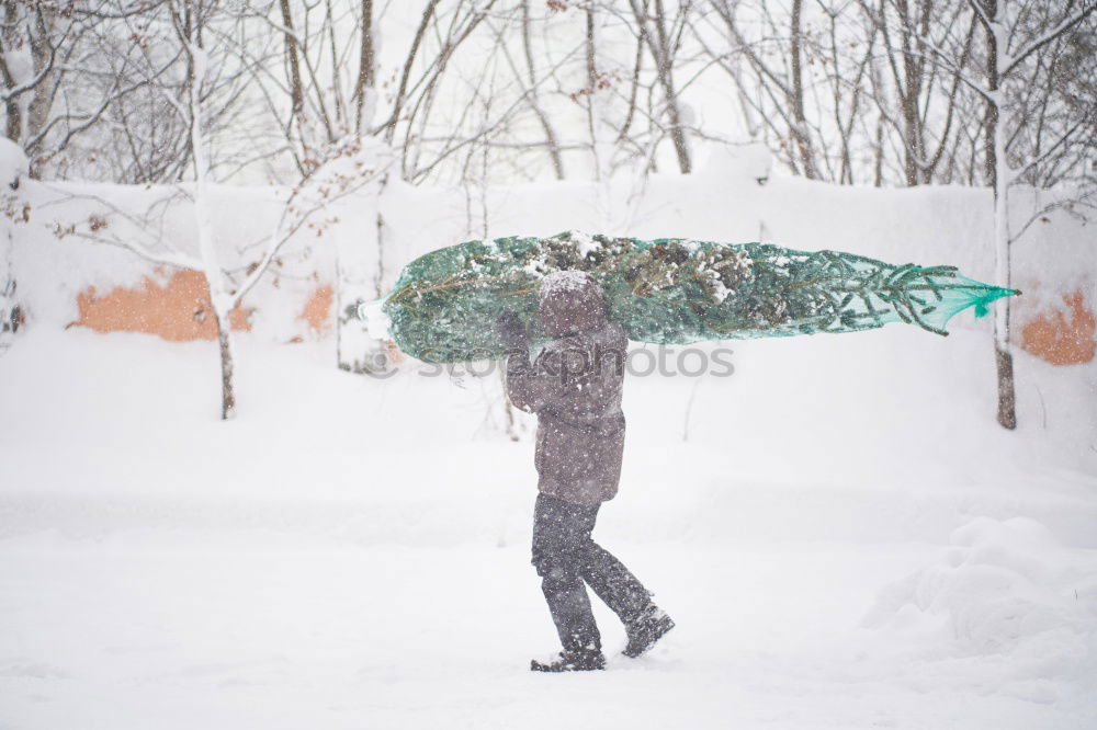 Similar – Image, Stock Photo 2 cut off windshield wipers sticking out of a car covered with snow