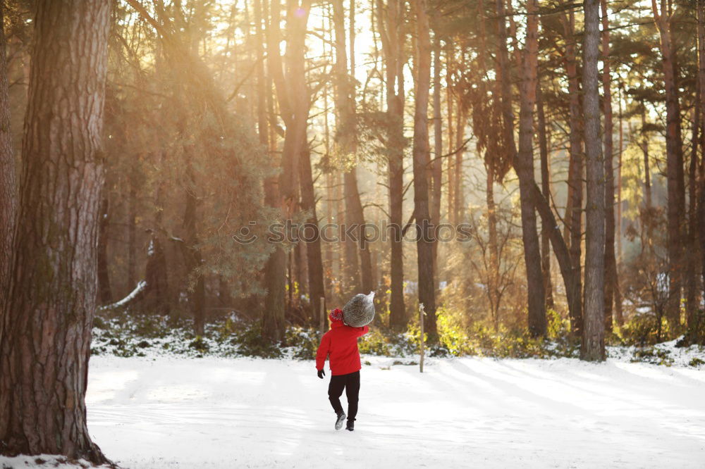 Similar – Image, Stock Photo Young beautiful woman in winter in the snow