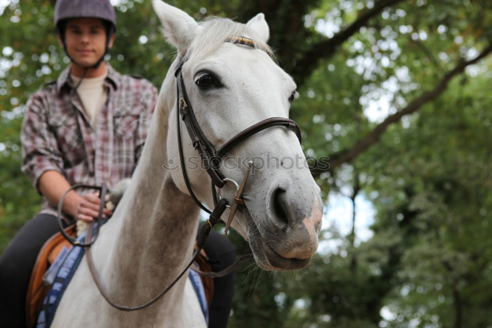 Similar – Andalusisches Duo Spanien