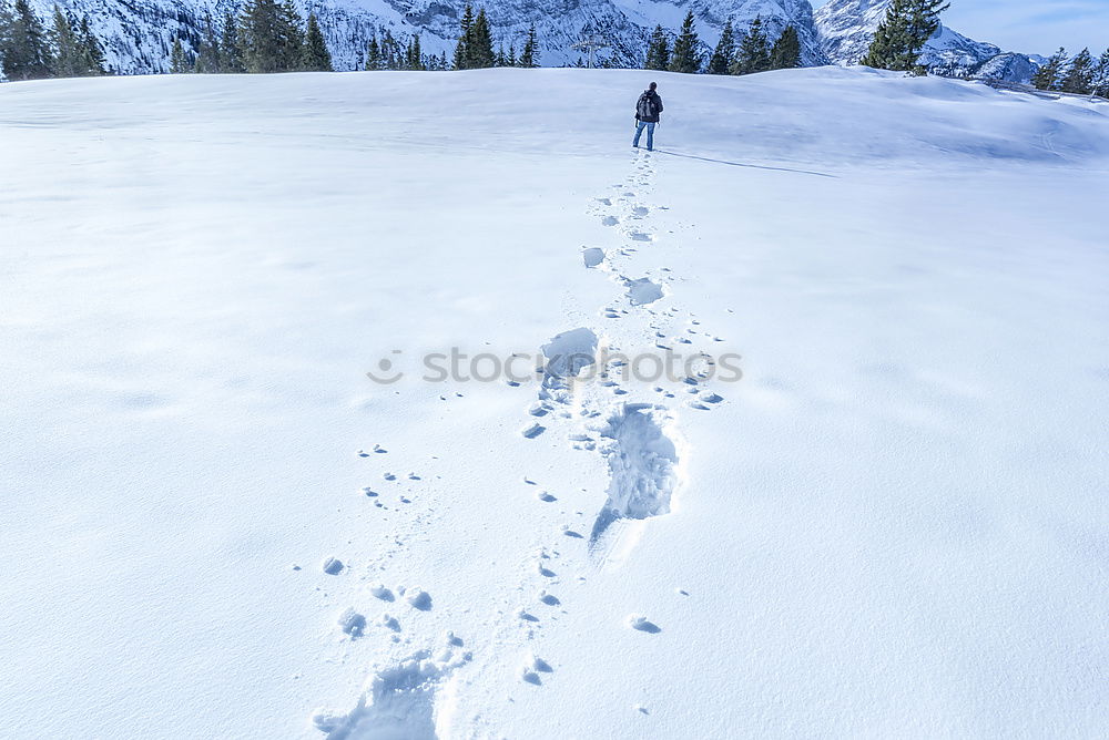 Similar – Image, Stock Photo Man walking through snow on a mountain peak