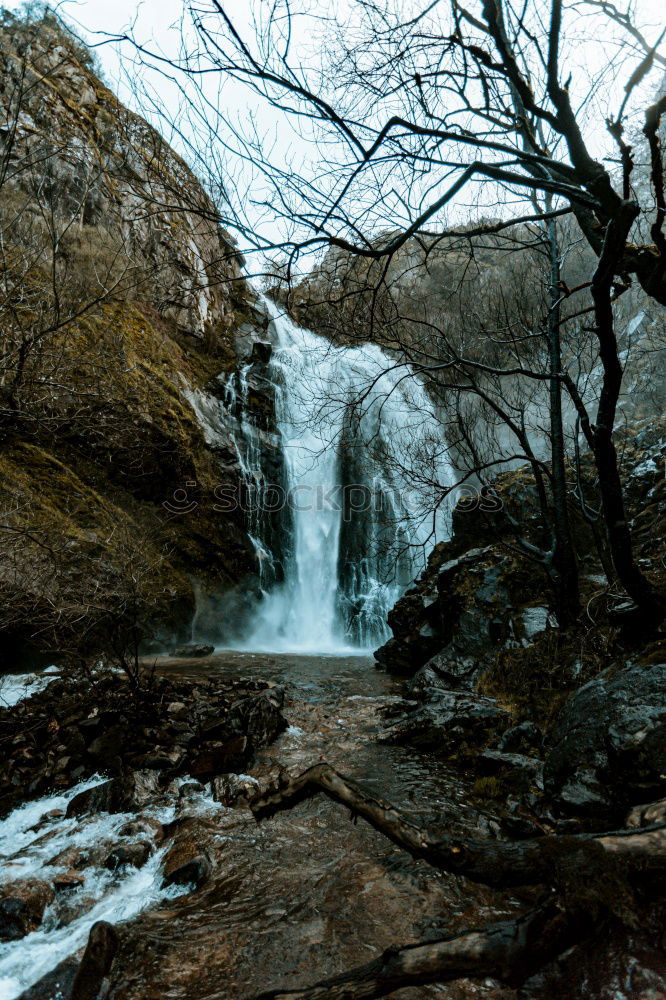 Similar – Image, Stock Photo frost Nature Landscape