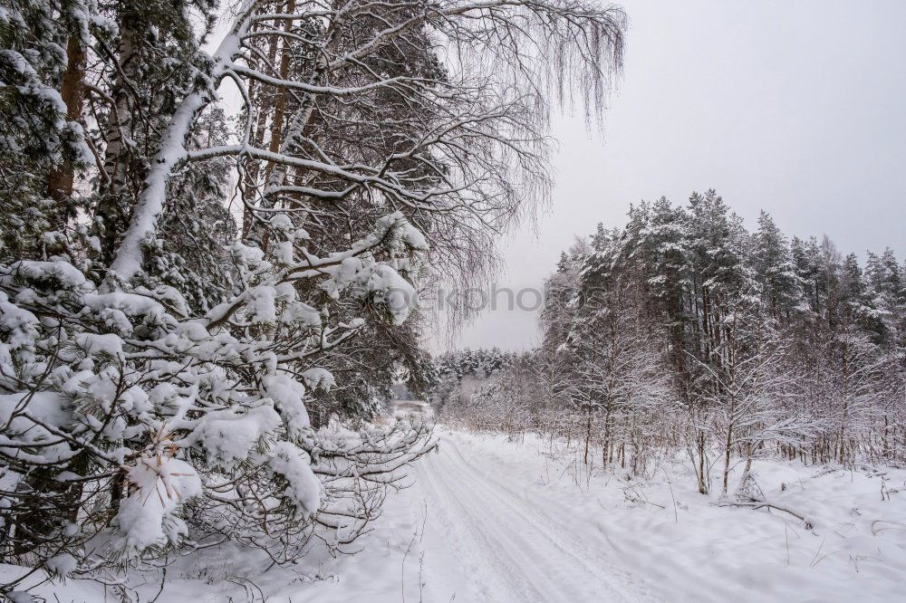 Similar – winter walk Nature