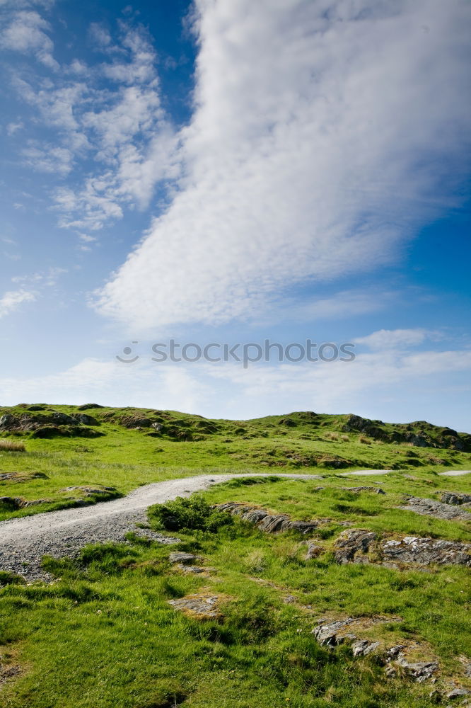 Similar – Image, Stock Photo Heath Landscape in Wales