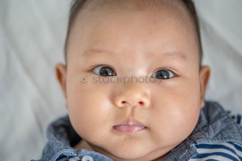 Similar – Baby girl head with a lot of hair clips