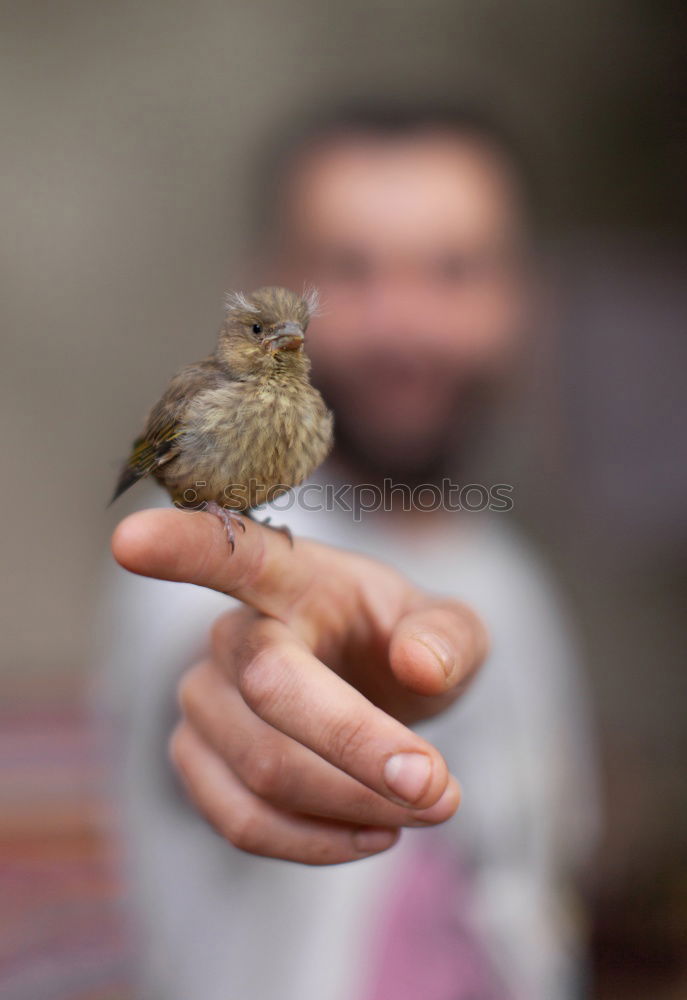 Little nest whisperer.