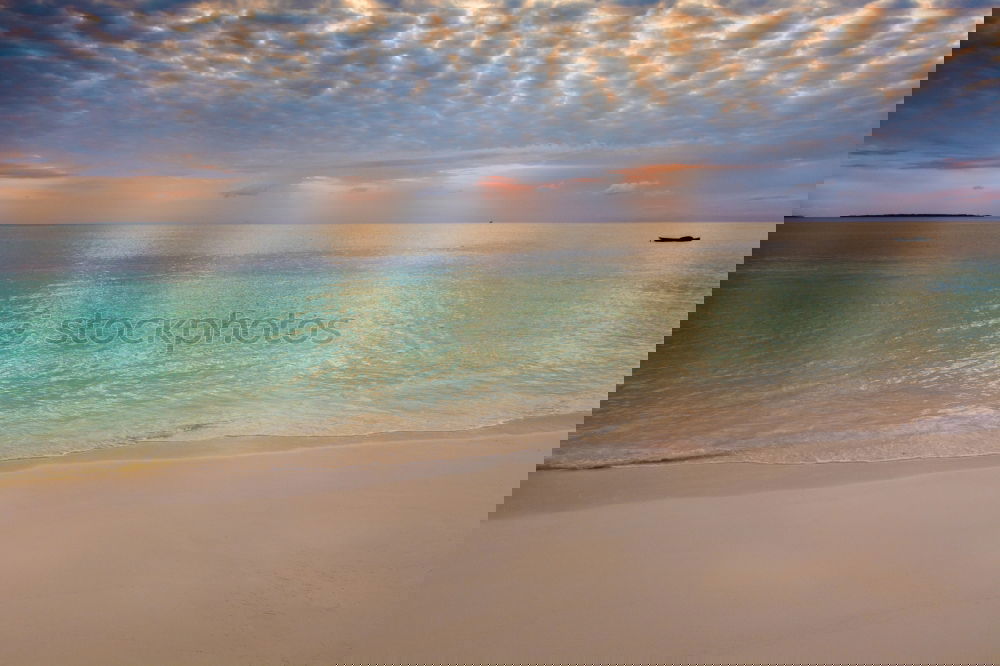 Similar – Image, Stock Photo mauritius and isle Pot