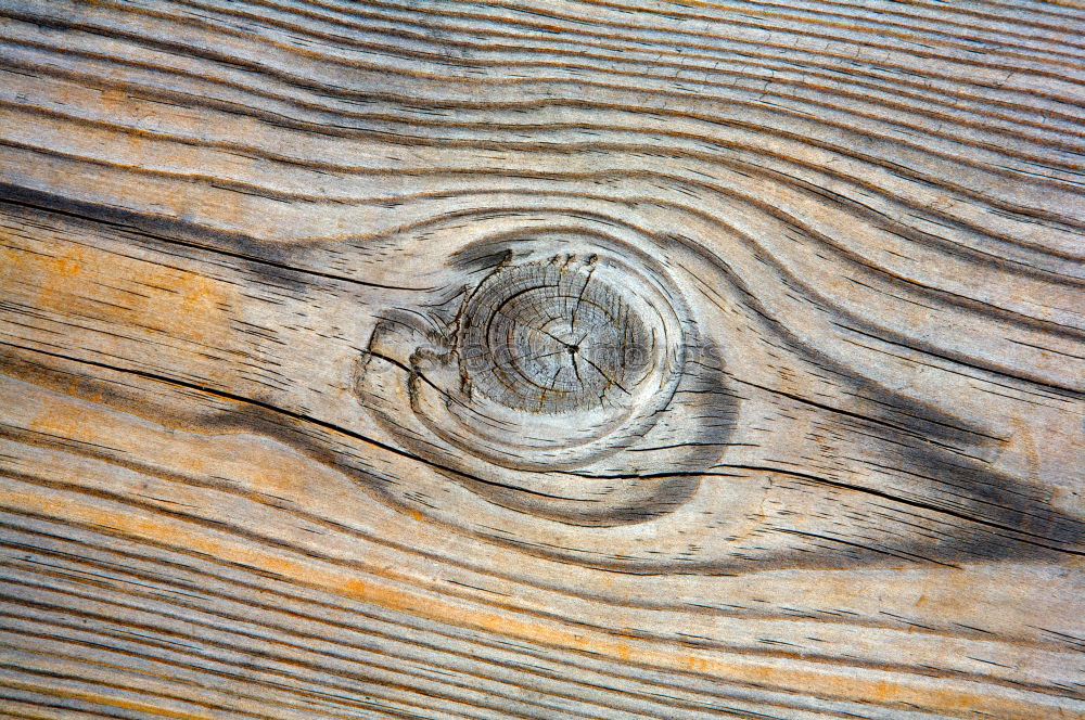 Similar – Image, Stock Photo knot hole Wood