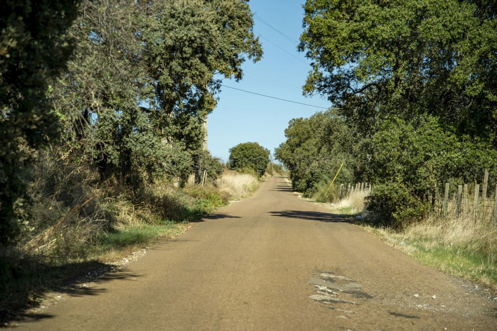 Similar – Road on Kangaroo Island