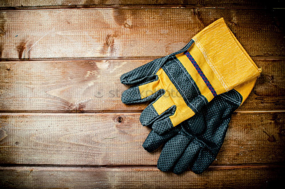 Similar – Image, Stock Photo discarded Gloves Cushion