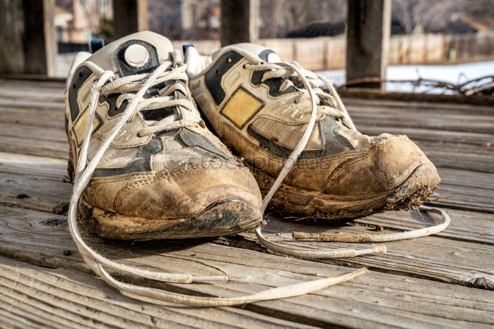 Similar – Image, Stock Photo Old sneakers abandoned