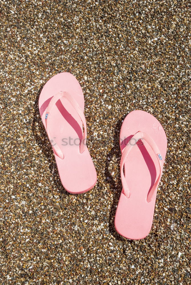 Similar – Image, Stock Photo sandpiper Flip-flops