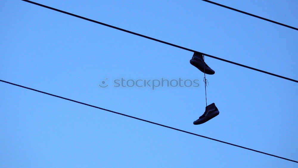 Similar – Image, Stock Photo three black pigeons Sky