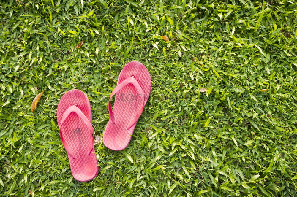 Similar – GiG (rubber boots in the grass)