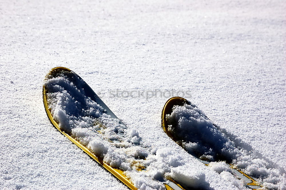 Foto Bild Schwarzgelbe Geschäftsgrundlage