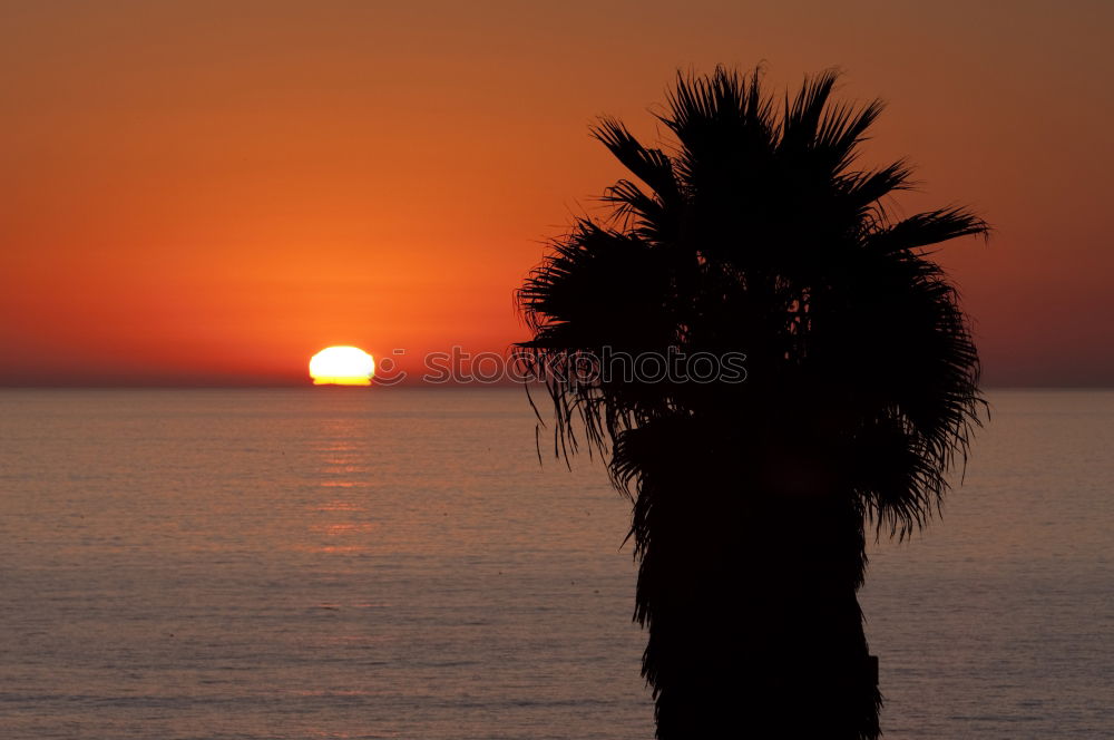 Similar – venice beach Strand