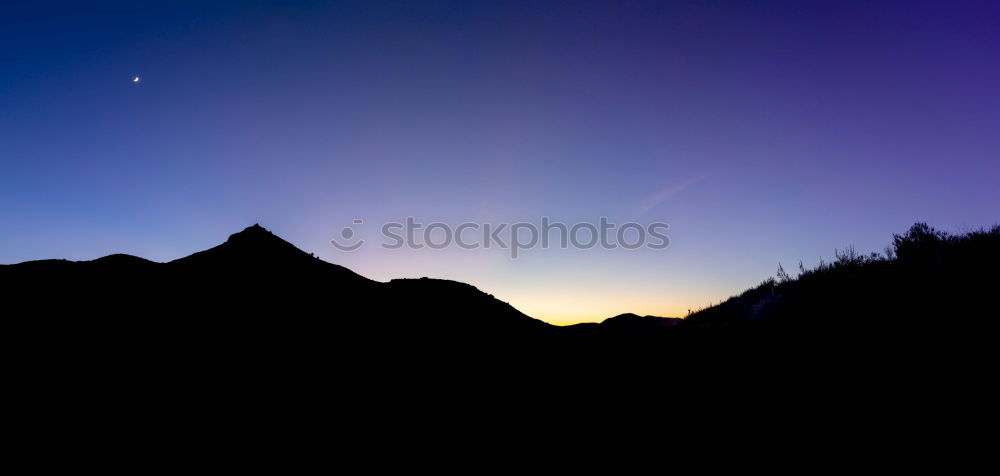 Similar – Image, Stock Photo Standalone tree #2 Nature