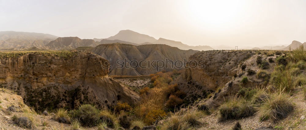 Similar – Image, Stock Photo Green snake Environment