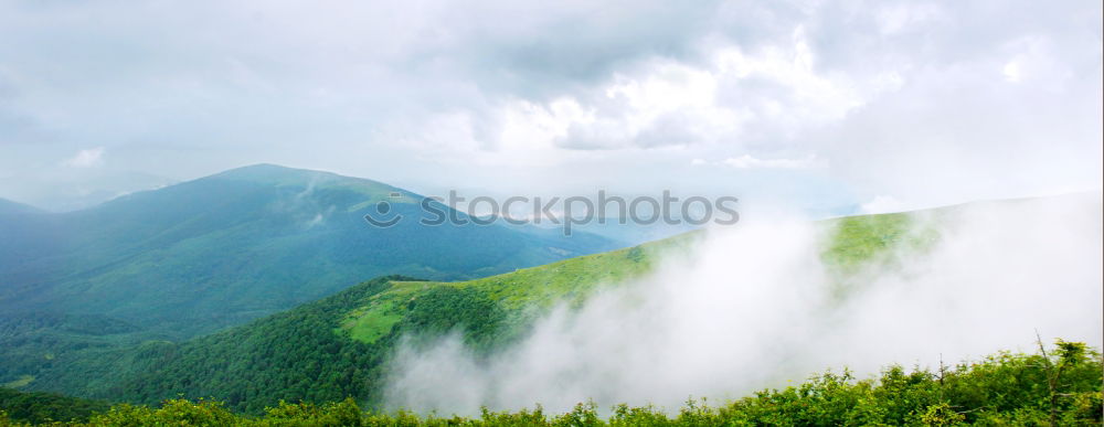 Similar – Image, Stock Photo rainforest area