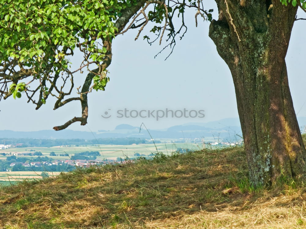 Similar – Foto Bild Land des Lichts Ferne