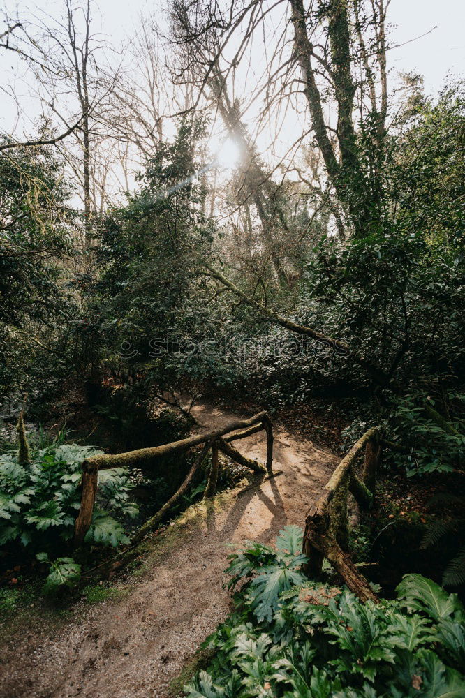 Similar – Woman sitting on a stone bridge in Dartmoor, England