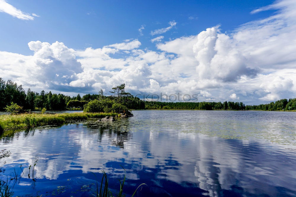 Similar – Still Water Lake Tree