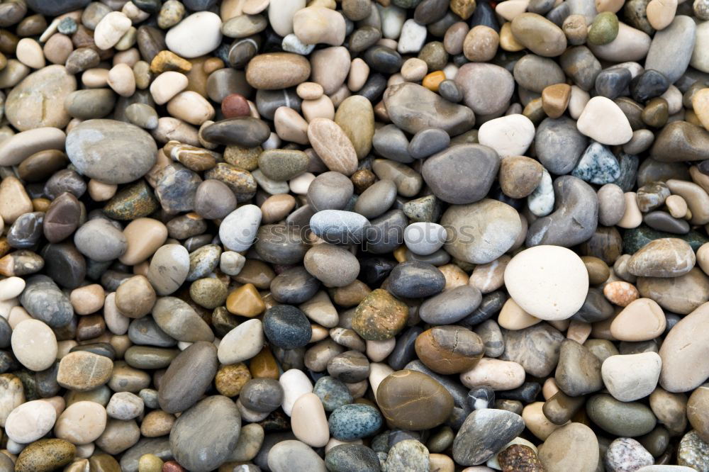 pebbles Stony Hard