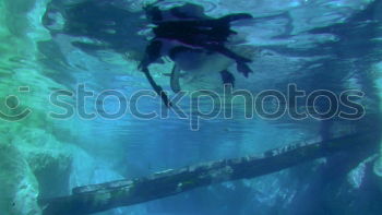 Similar – Image, Stock Photo Observer under water