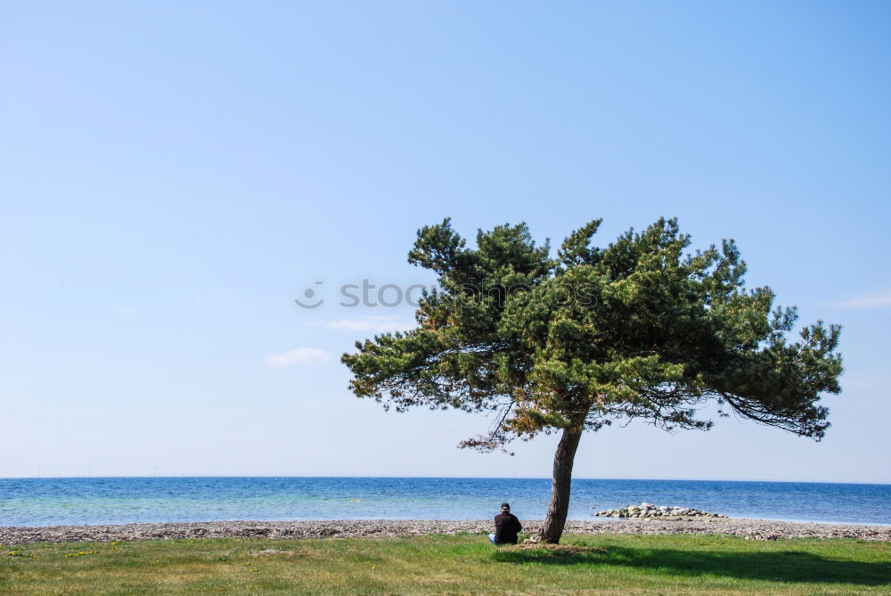 Similar – Image, Stock Photo Single Relaxation