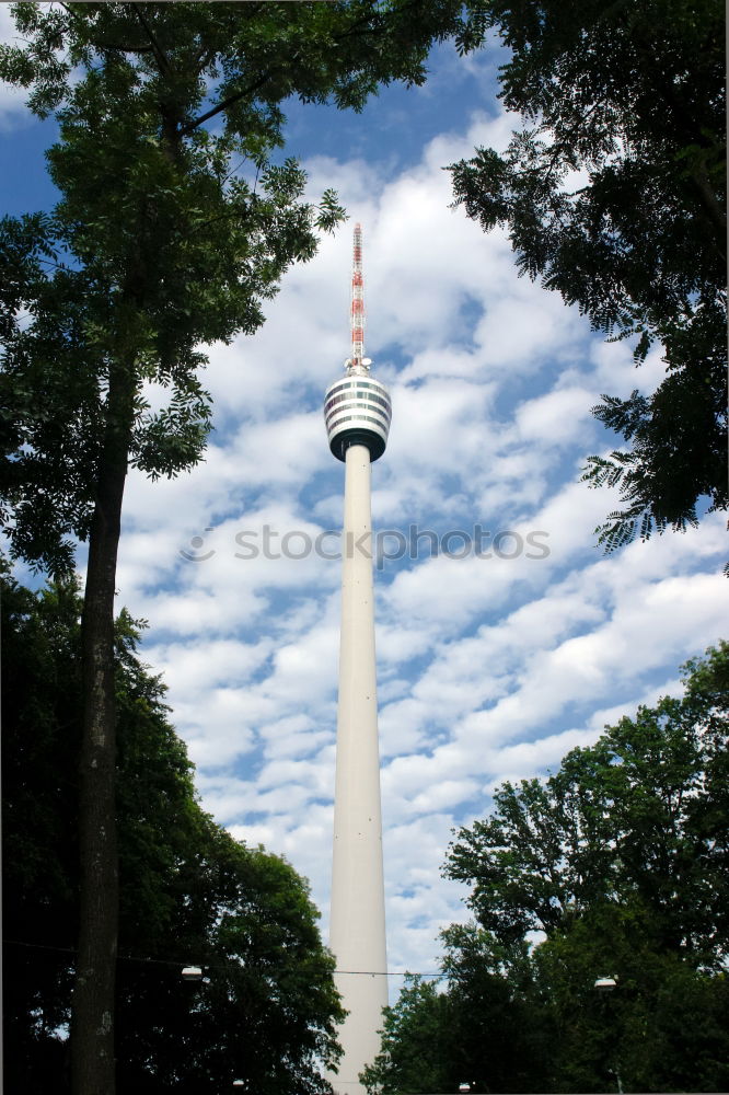 Wächst und gedeiht Kultur