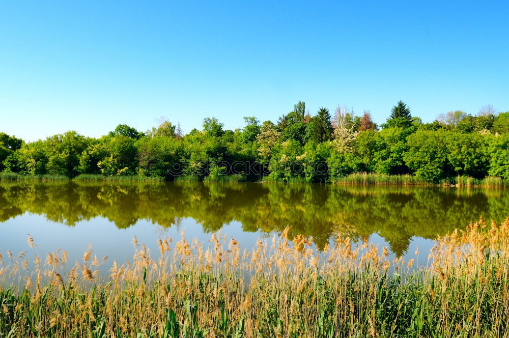 Similar – Image, Stock Photo green Idyll Paradise
