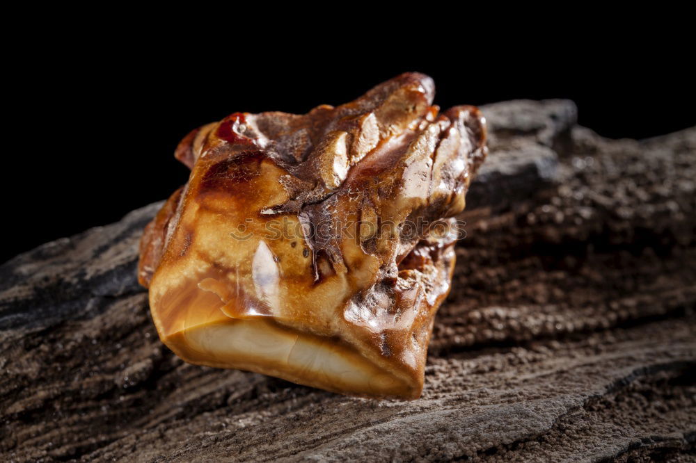 Similar – Image, Stock Photo Dried fish in a bag with paper on a black surface