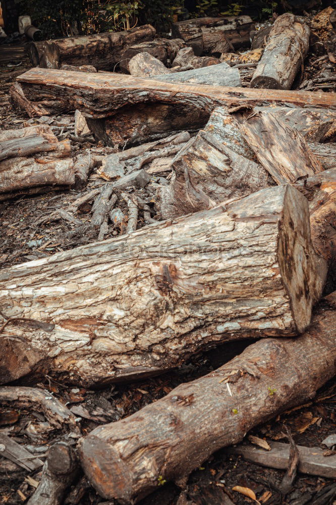 Similar – Holz vor der Hütte