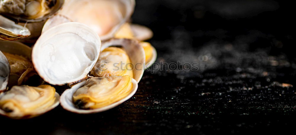 Similar – Image, Stock Photo Group pressure on the stone