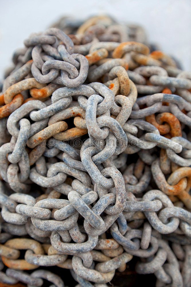 Similar – Image, Stock Photo Tapeworm or sailor’s yarn?