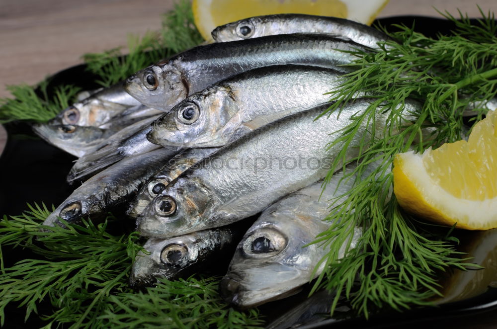 Image, Stock Photo two whole mackerels Fish