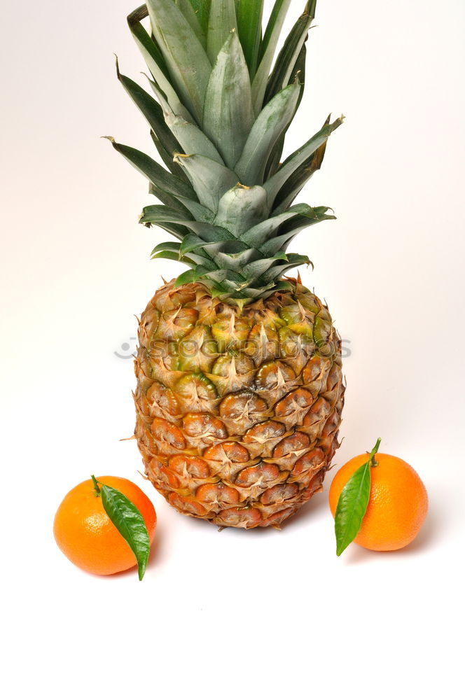 Similar – Image, Stock Photo #AS# Pineapple Trophy