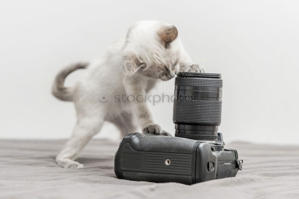 Similar – Foto Bild HasenMission | 2008