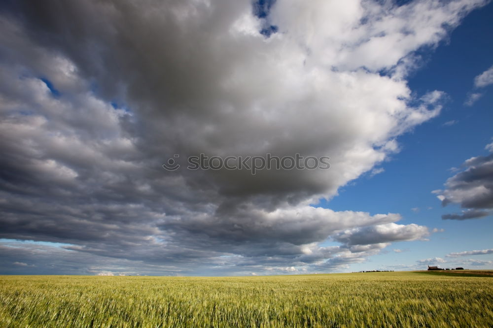 Image, Stock Photo Fields around Mühlacker