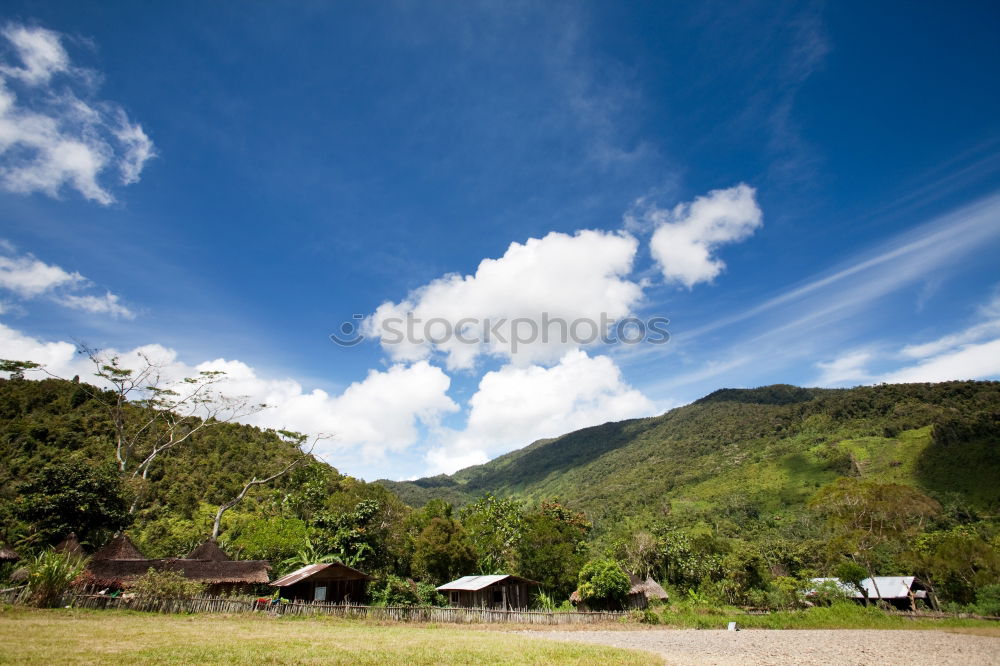 Similar – Image, Stock Photo Bowling green English