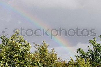 Similar – Image, Stock Photo Rainbow over Plano Piloto / Brasilia DF