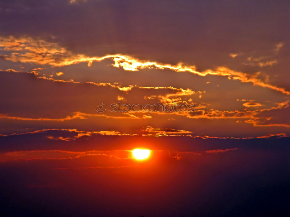 Similar – evening sun Tree Sunset