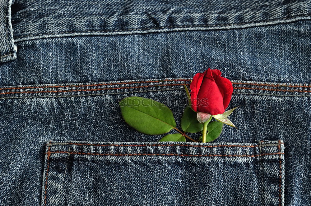 Similar – jeans and two red wooden hearts