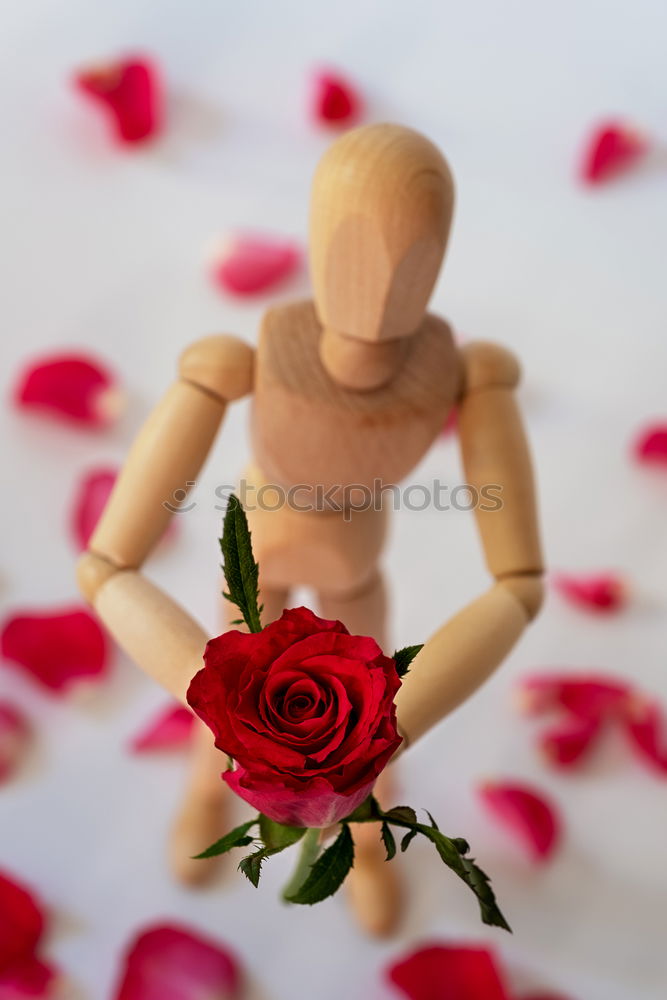 Similar – Image, Stock Photo Young man with red flowers