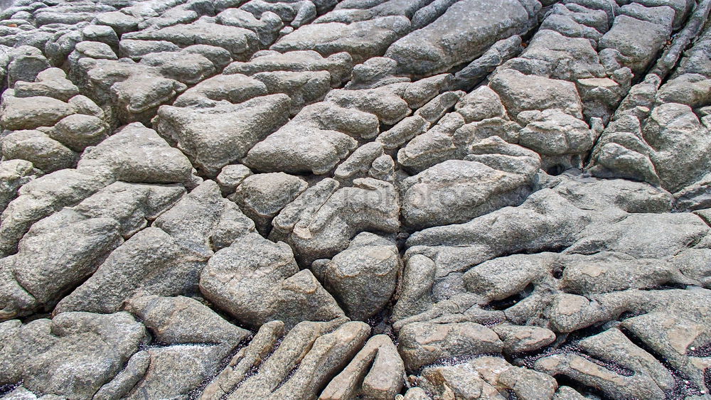 Similar – Image, Stock Photo sandstorm Furrow Circle