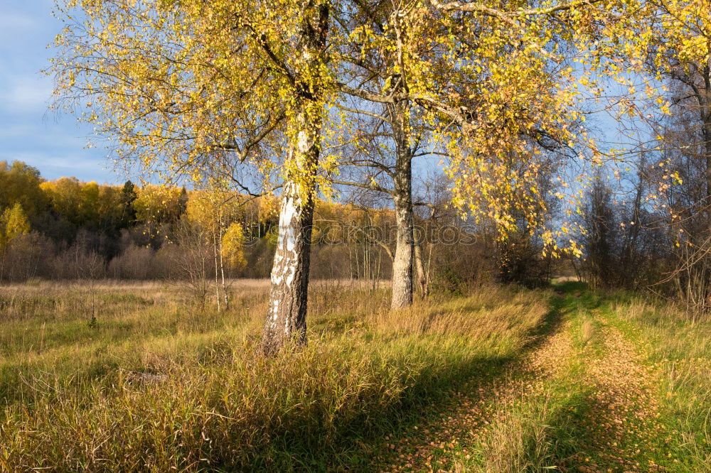 Similar – Image, Stock Photo A field in rural landscape