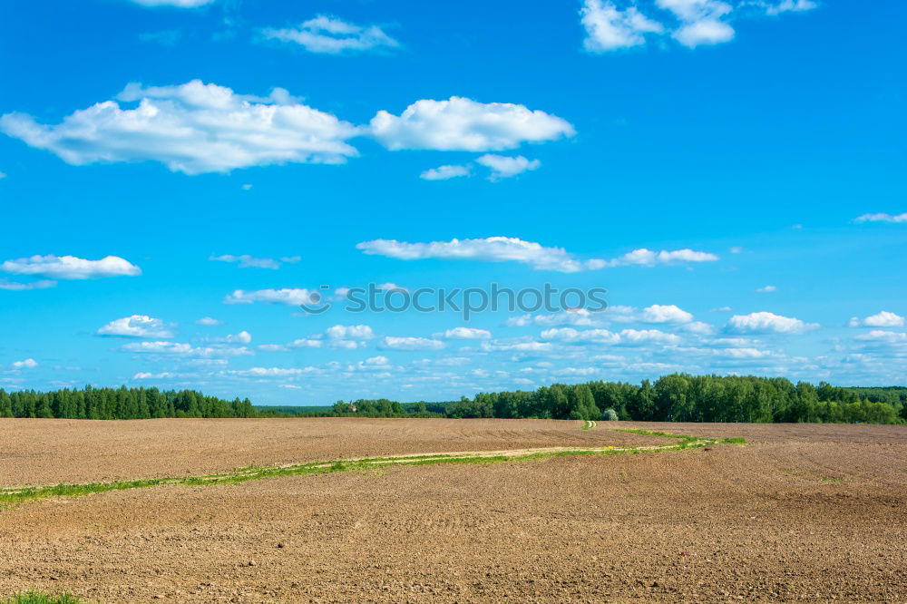 Similar – Image, Stock Photo field after the yield of wheat