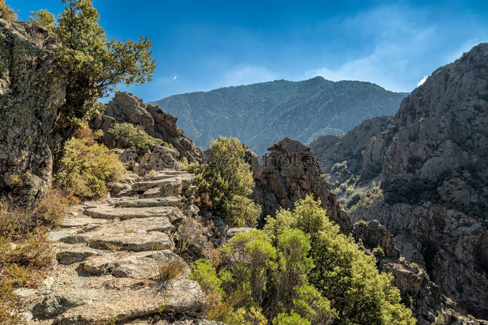 Similar – Image, Stock Photo Mediterranean Hiking Trail