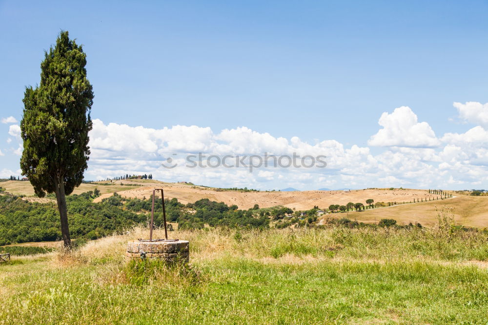 Similar – Image, Stock Photo when it was still summer…